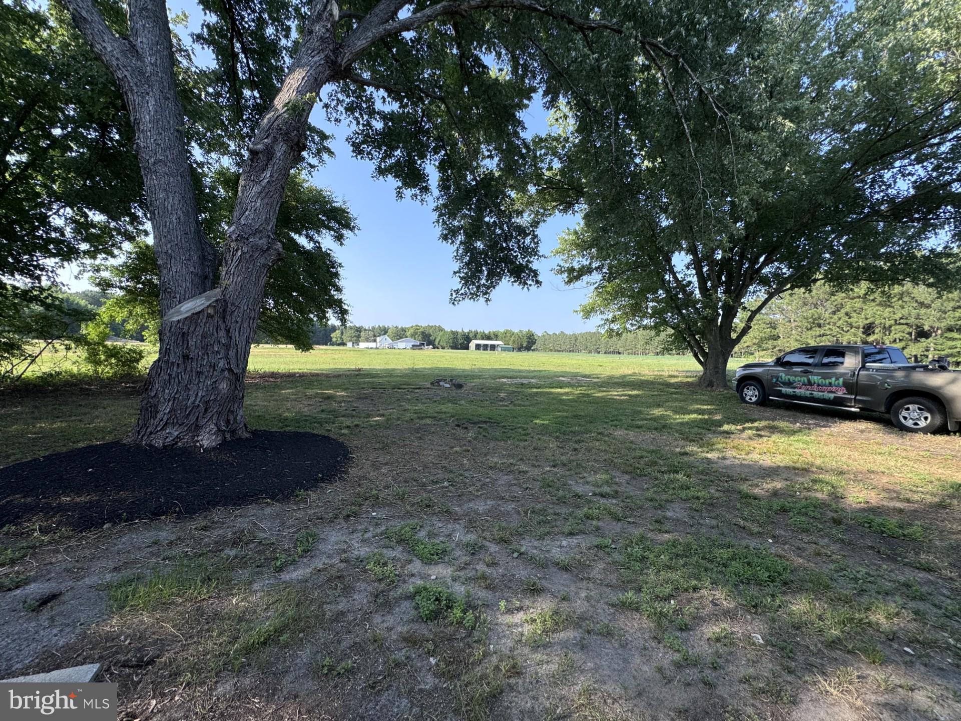 21666 Dover Bridge Road Preston, MD 21655 - Photo 6 of 17