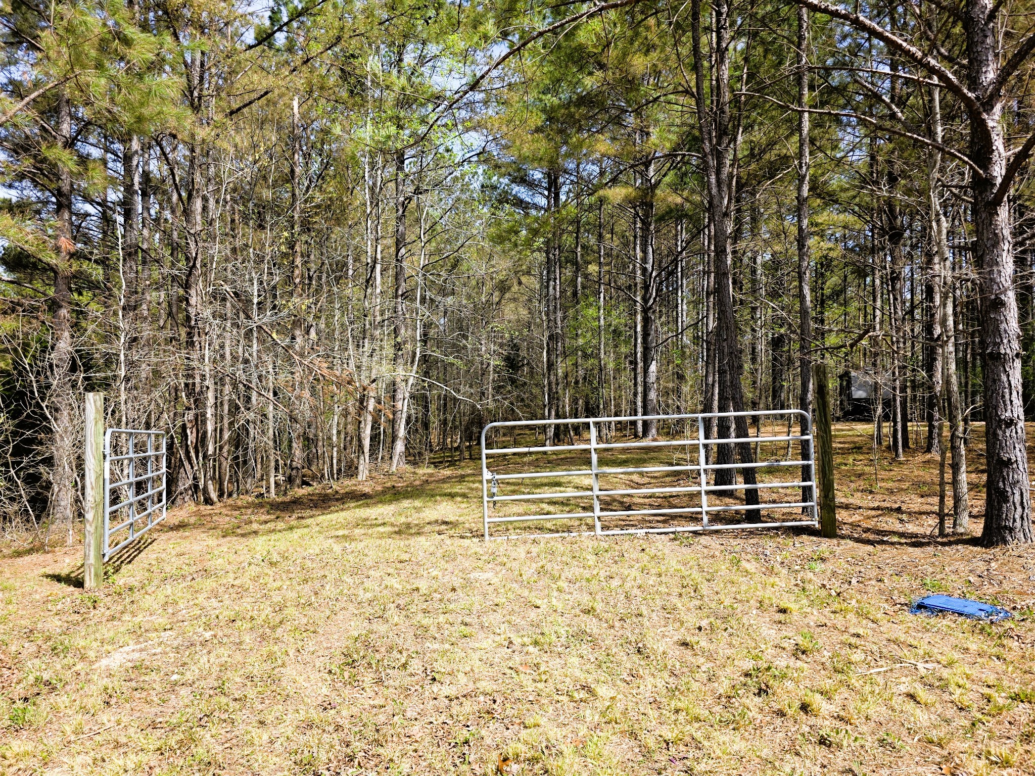 258 Bald Knob Road Holladay, TN 38341 - Photo 11 of 80