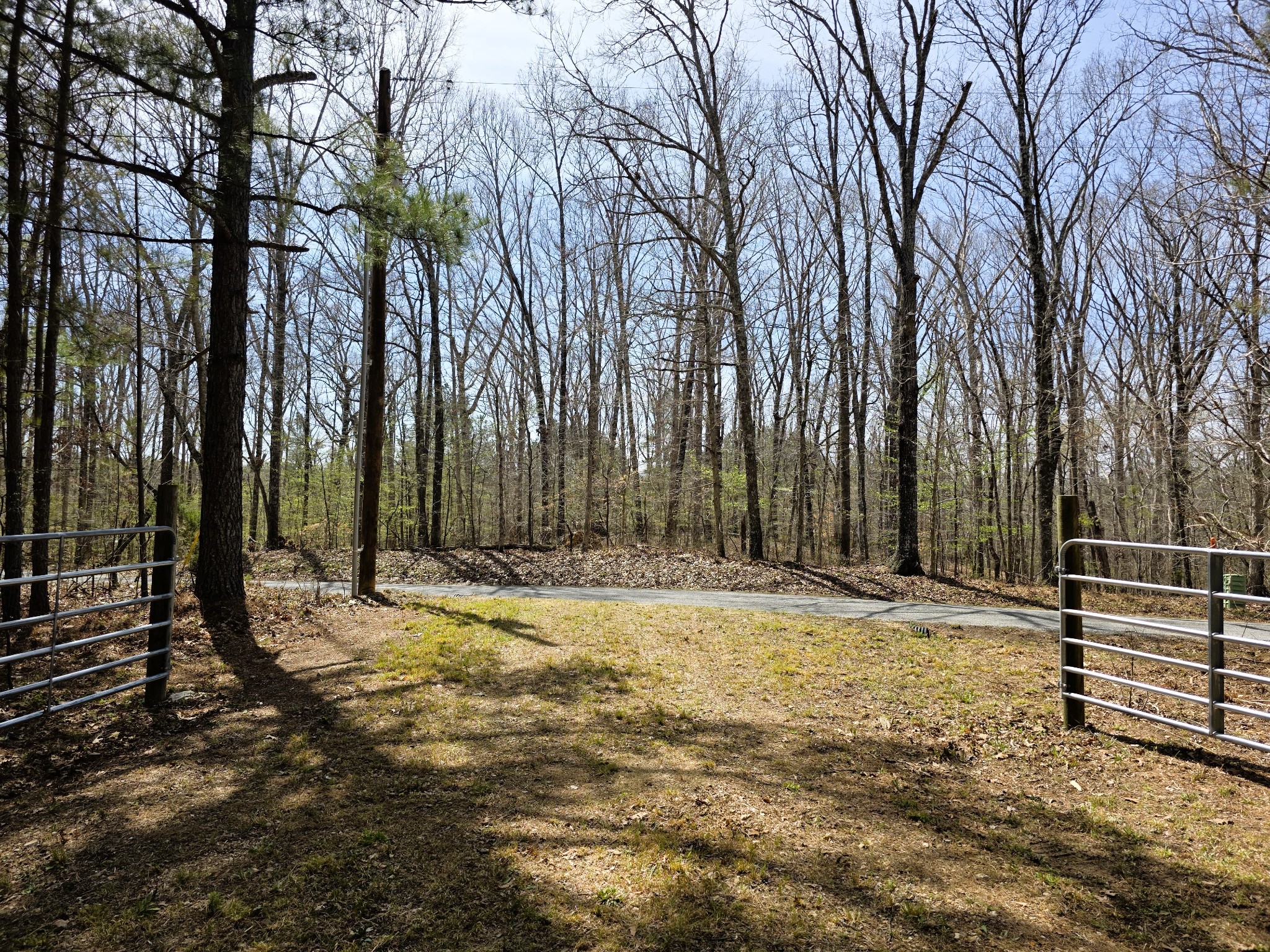 258 Bald Knob Road Holladay, TN 38341 - Photo 12 of 80