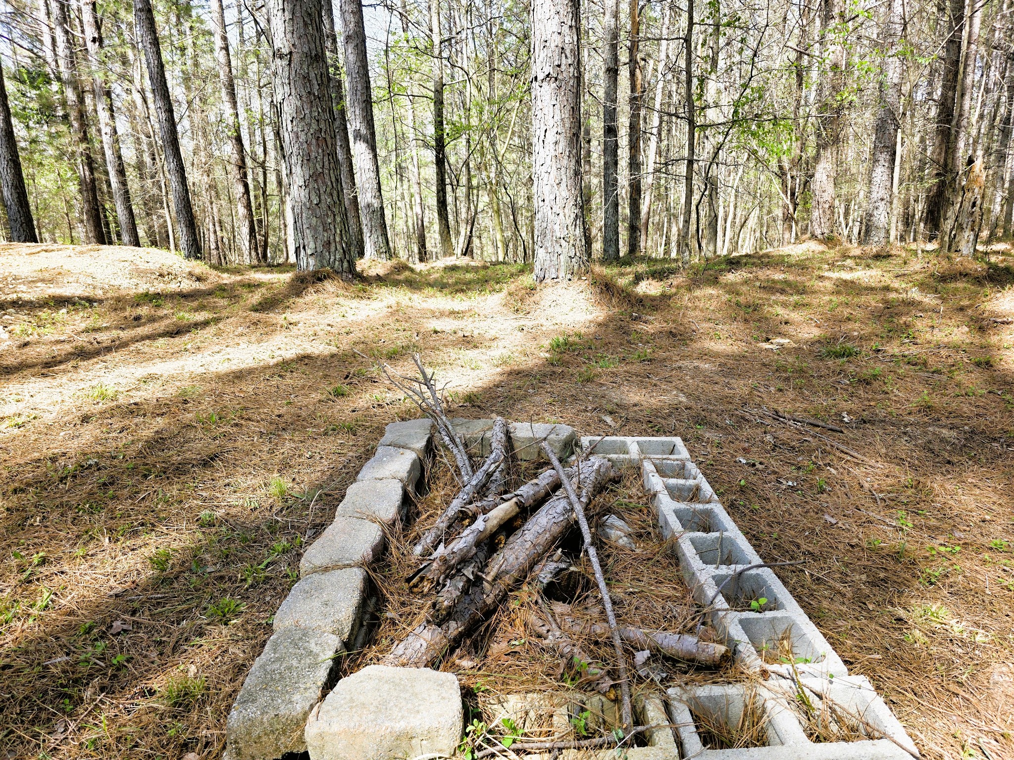 258 Bald Knob Road Holladay, TN 38341 - Photo 23 of 80