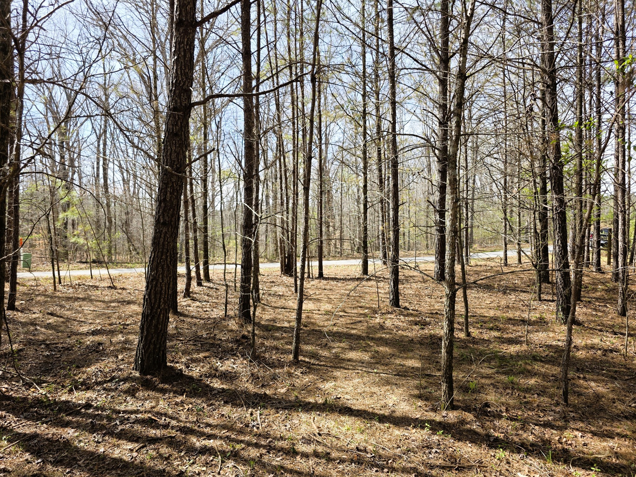 258 Bald Knob Road Holladay, TN 38341 - Photo 65 of 80