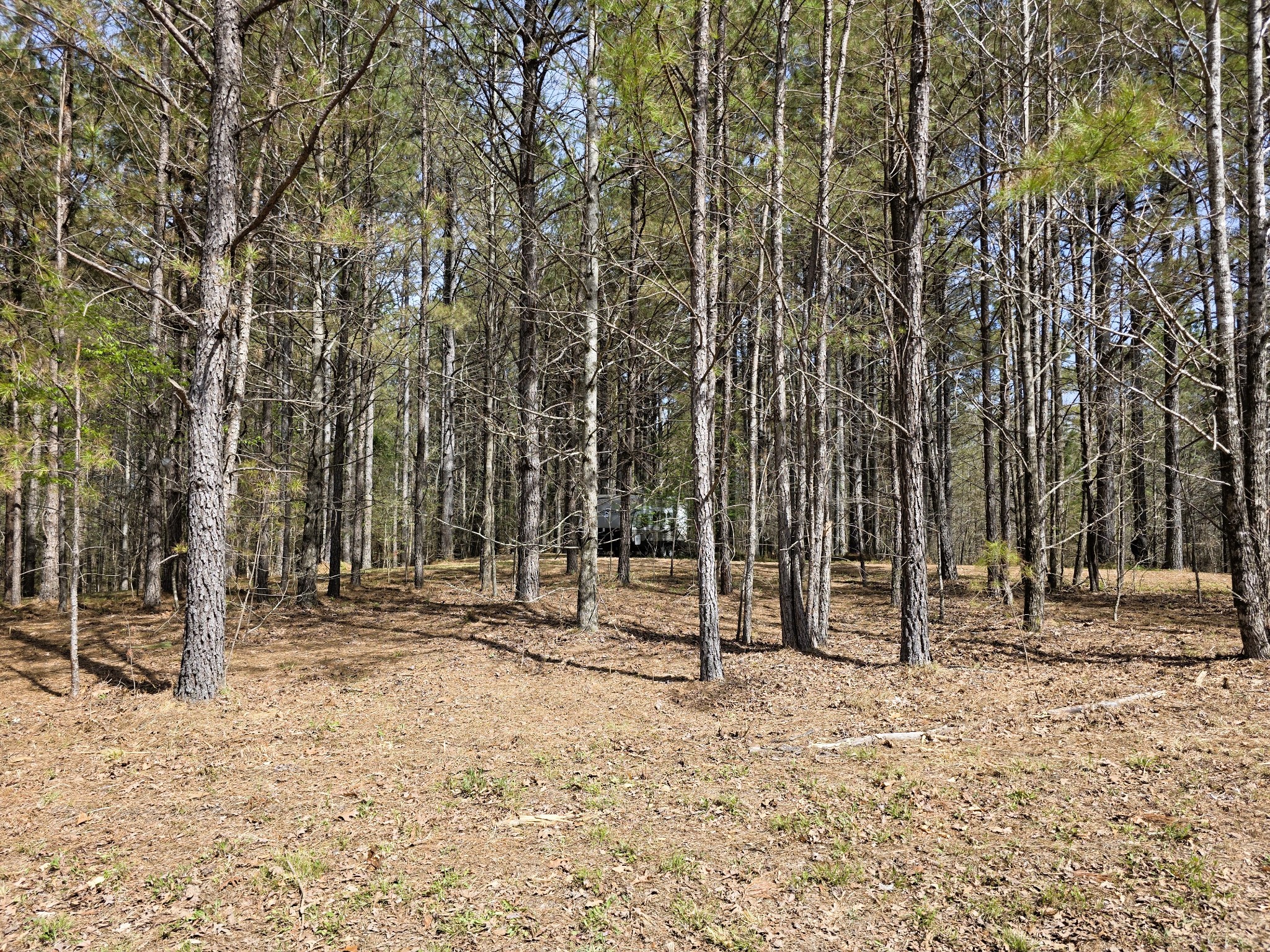 258 Bald Knob Road Holladay, TN 38341 - Photo 66 of 80