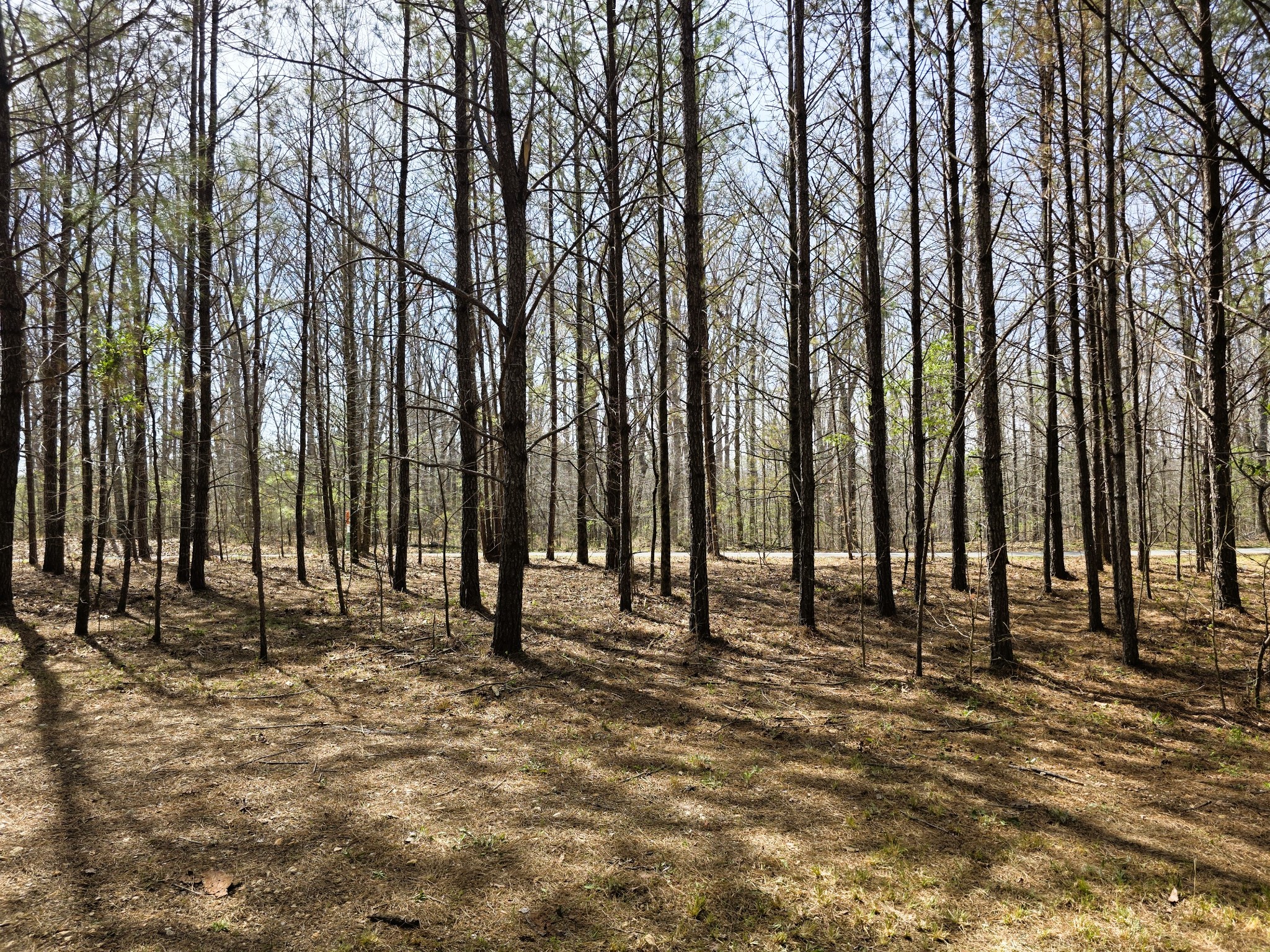 258 Bald Knob Road Holladay, TN 38341 - Photo 67 of 80