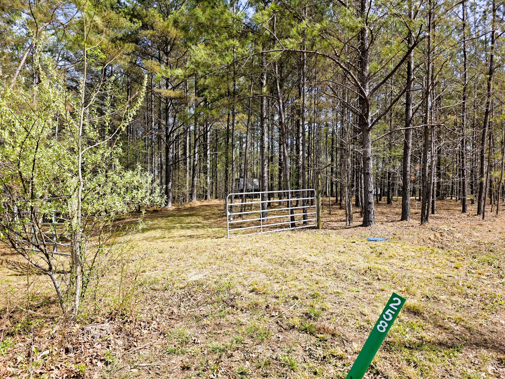258 Bald Knob Road Holladay, TN 38341 - Photo 68 of 80