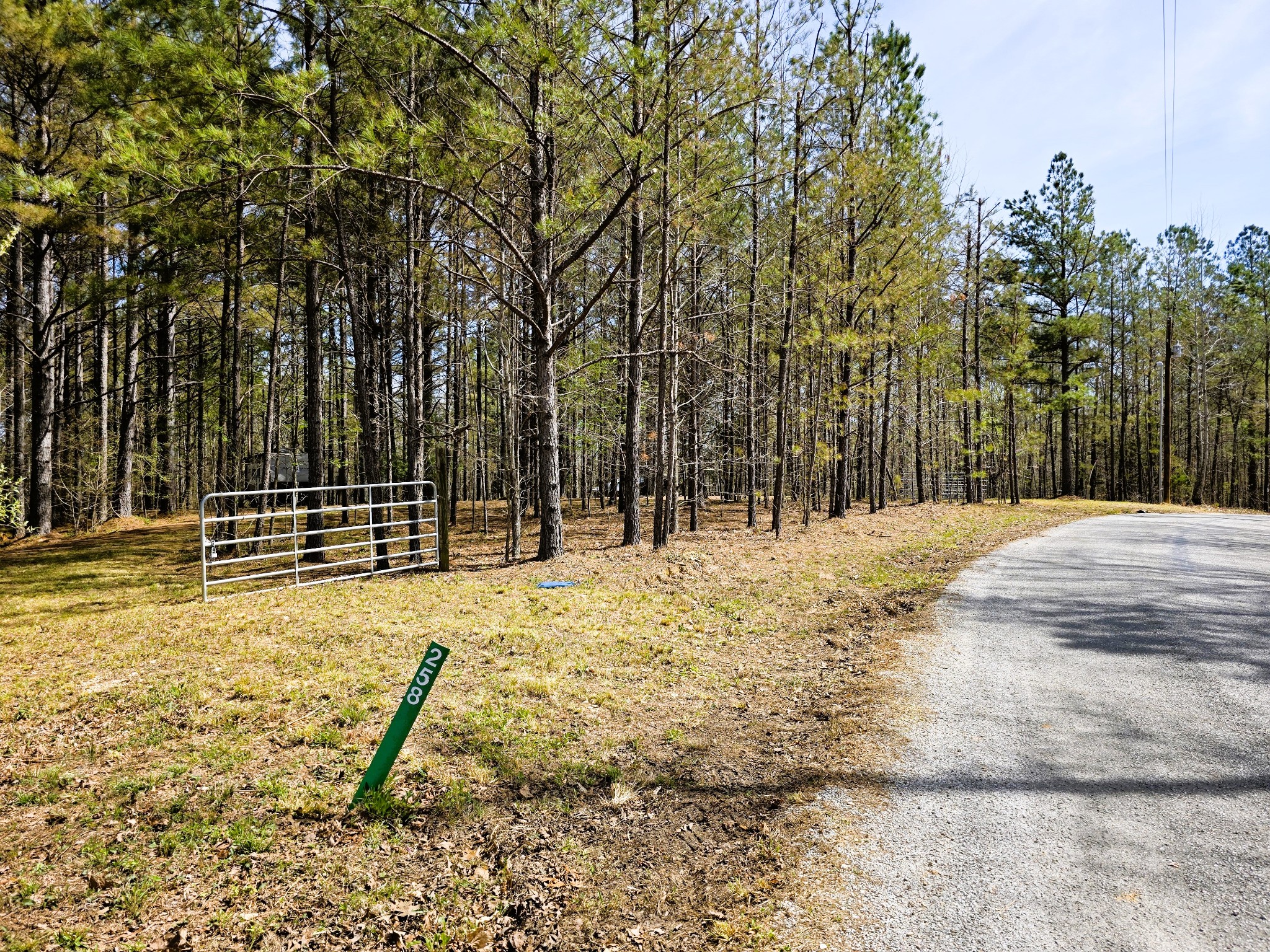 258 Bald Knob Road Holladay, TN 38341 - Photo 69 of 80