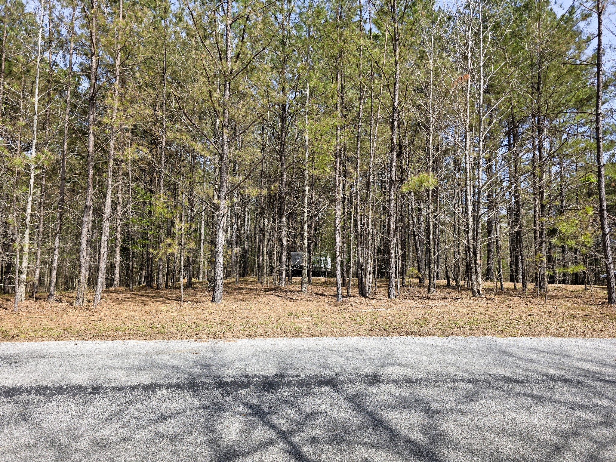 258 Bald Knob Road Holladay, TN 38341 - Photo 70 of 80