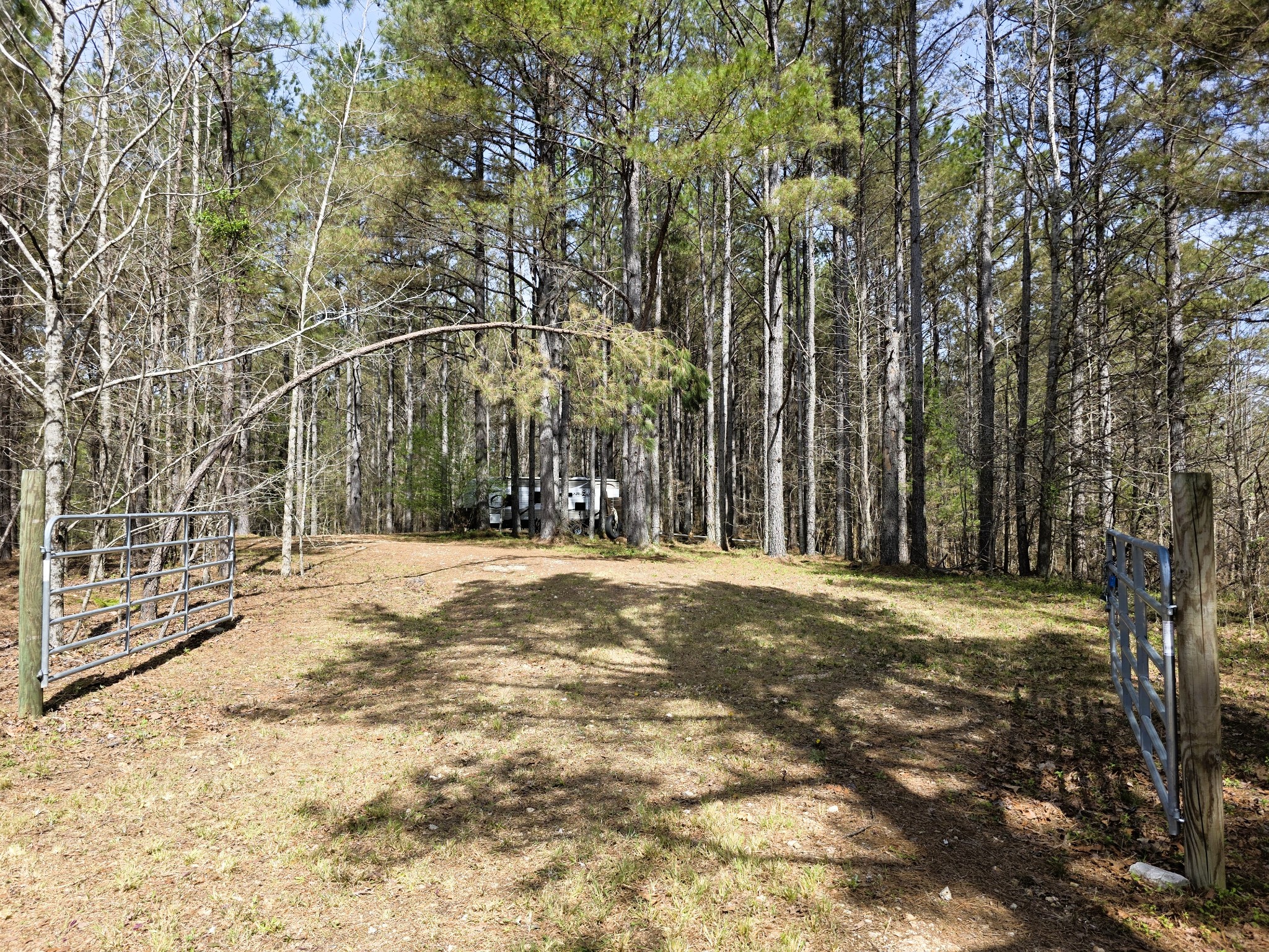 258 Bald Knob Road Holladay, TN 38341 - Photo 7 of 80