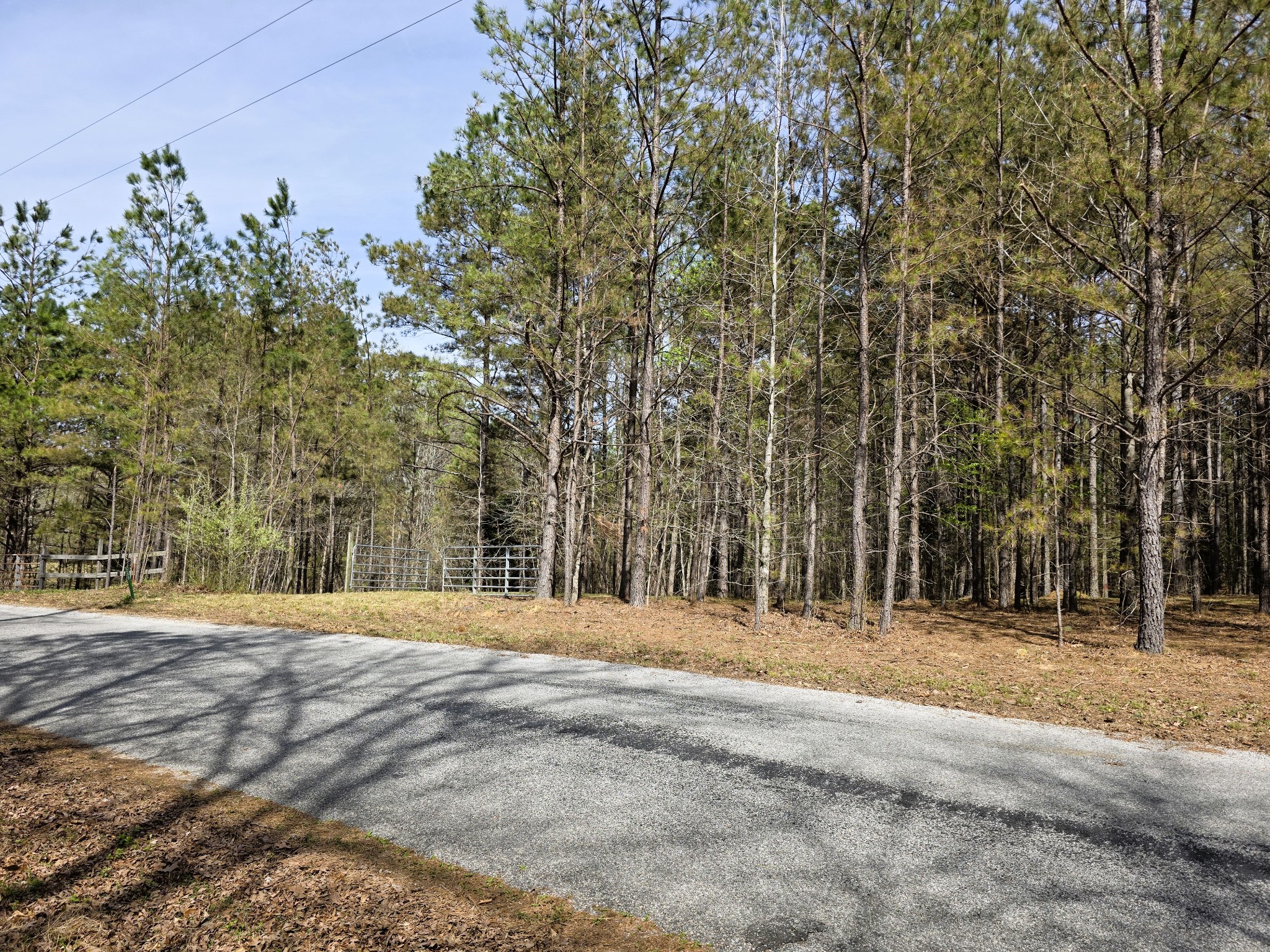 258 Bald Knob Road Holladay, TN 38341 - Photo 71 of 80