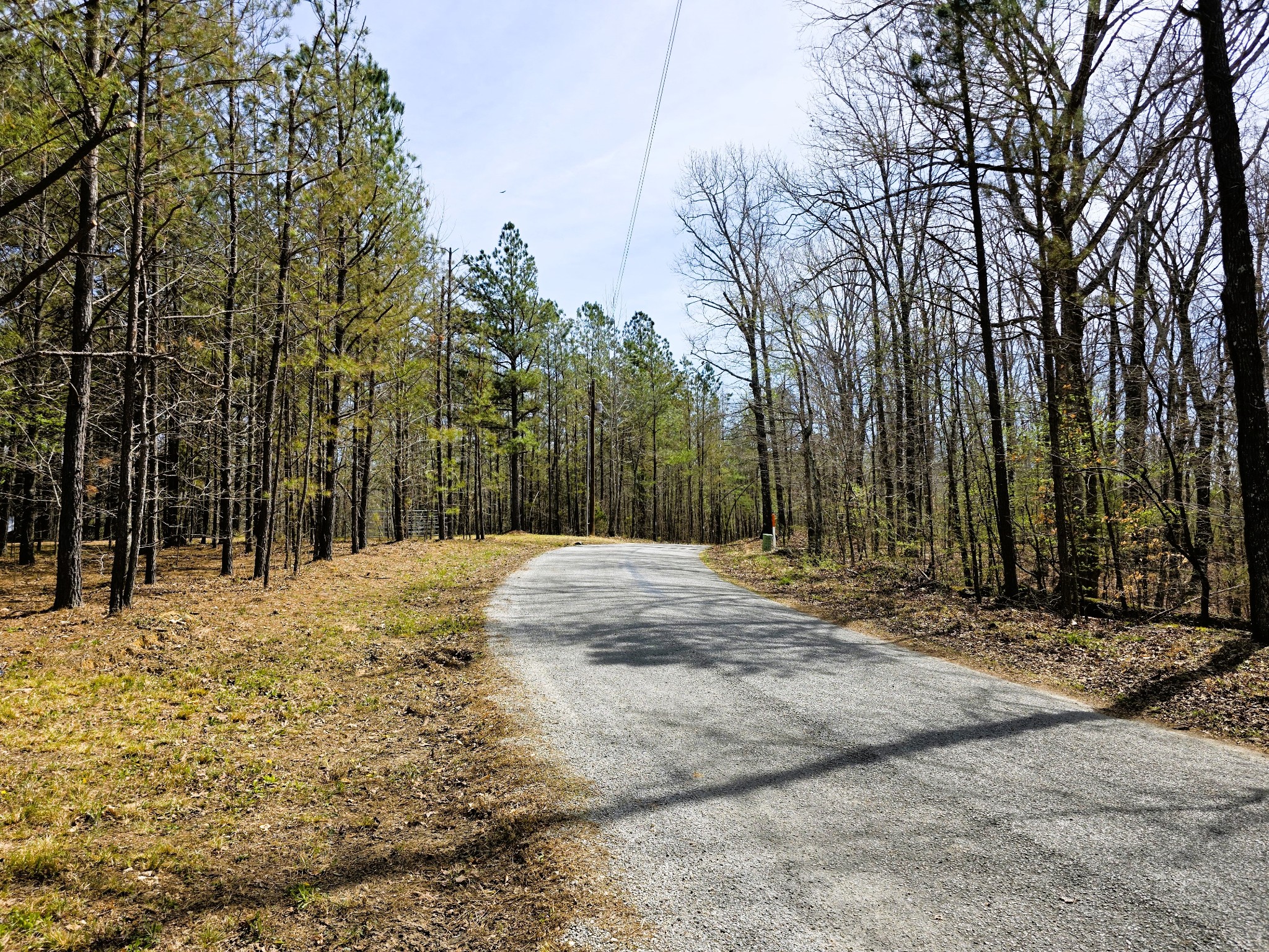 258 Bald Knob Road Holladay, TN 38341 - Photo 72 of 80
