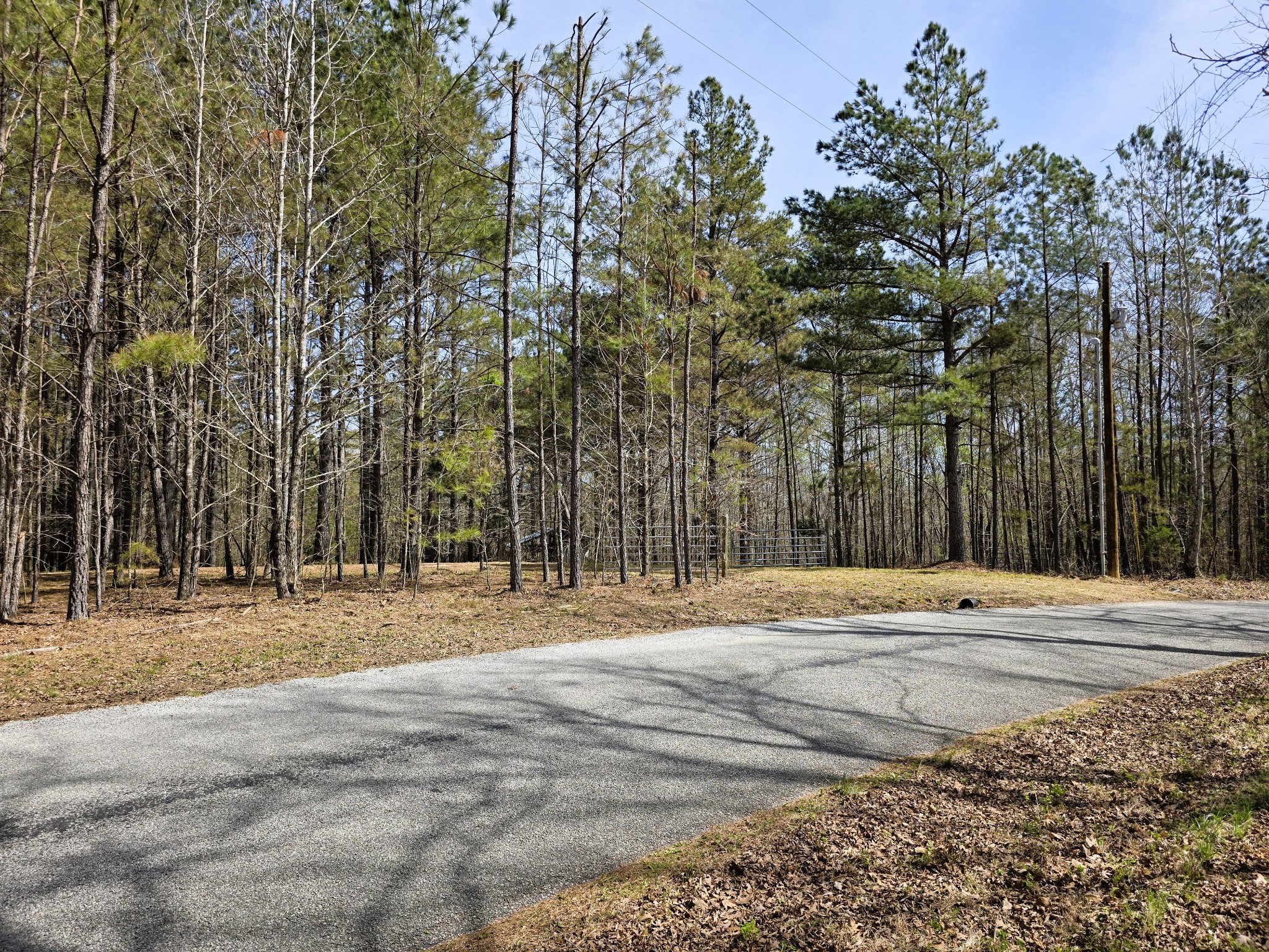 258 Bald Knob Road Holladay, TN 38341 - Photo 74 of 80