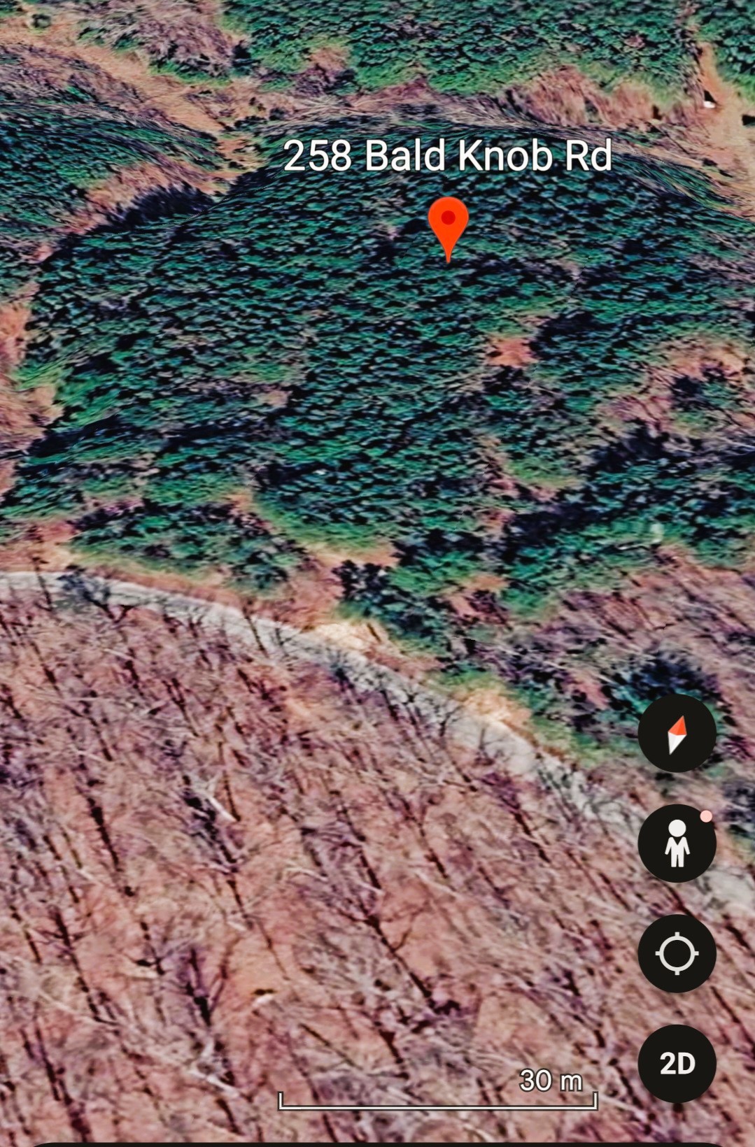 258 Bald Knob Road Holladay, TN 38341 - Photo 78 of 80