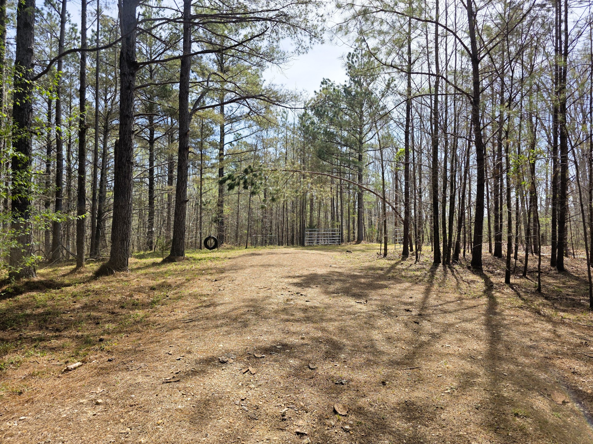 258 Bald Knob Road Holladay, TN 38341 - Photo 8 of 80