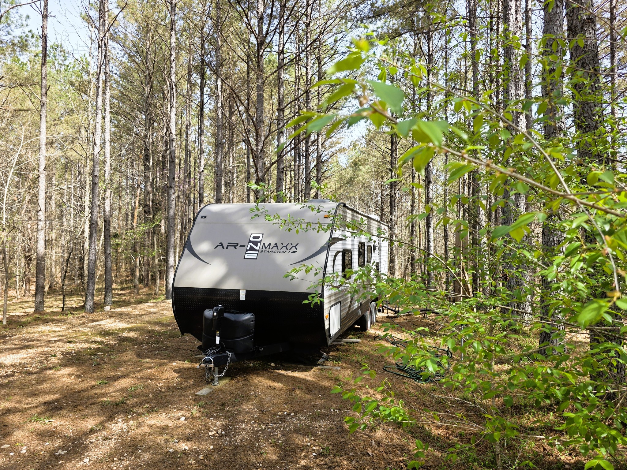 258 Bald Knob Road Holladay, TN 38341 - Photo 9 of 80