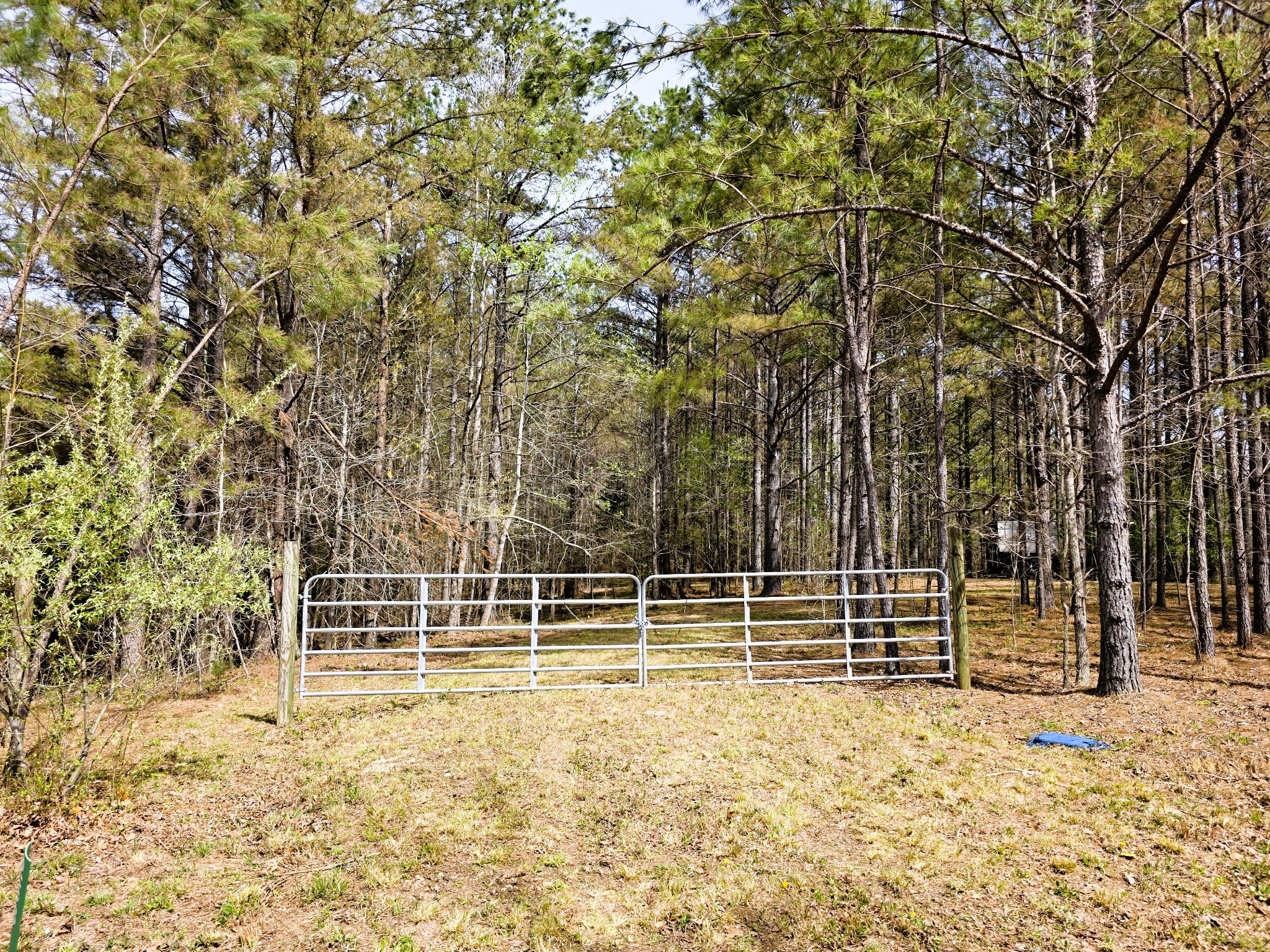 258 Bald Knob Road Holladay, TN 38341 - Photo 10 of 80