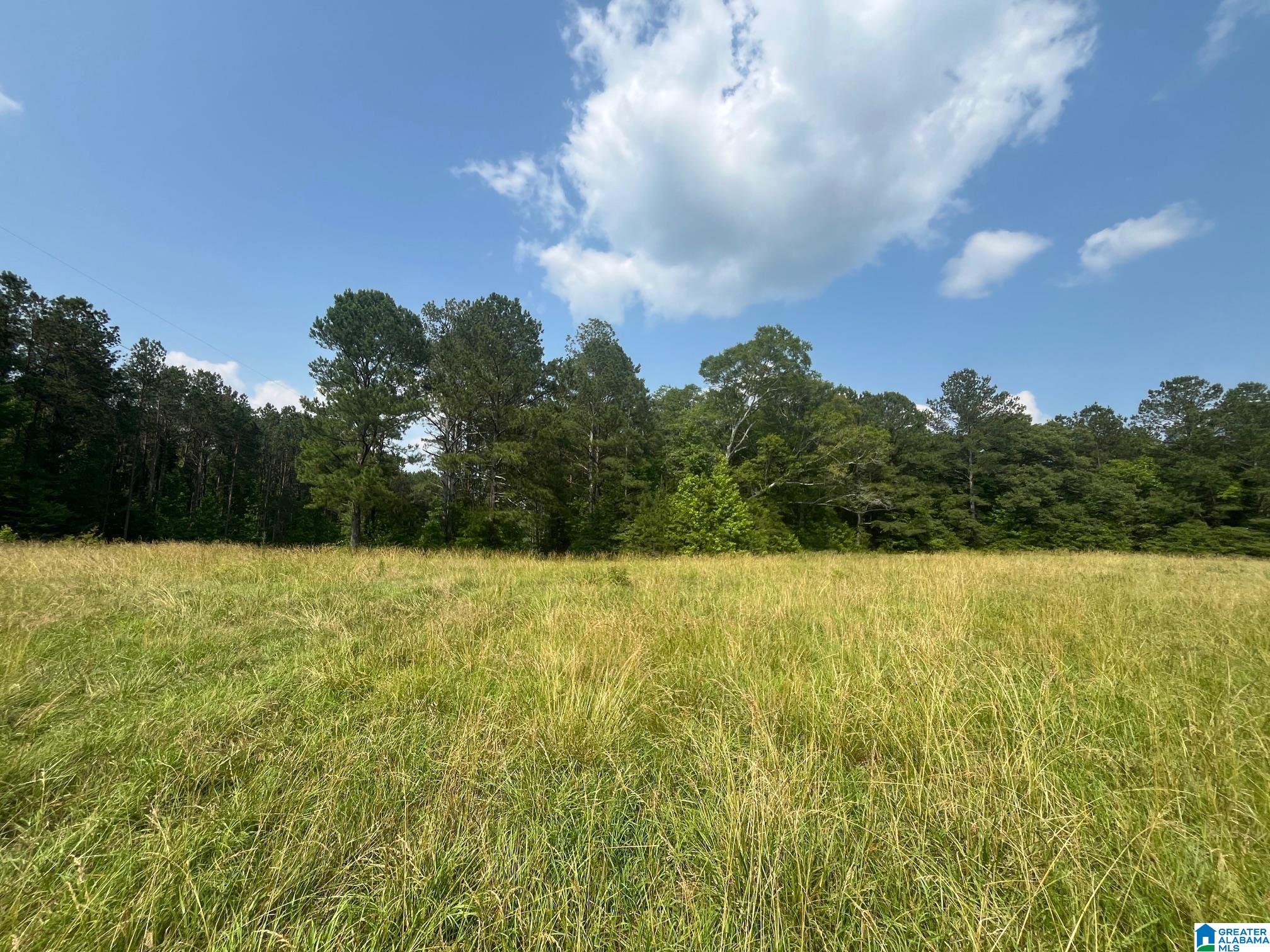 91 County Road Roanoke, AL 36274 - Photo 7 of 11 Gallery Image 7