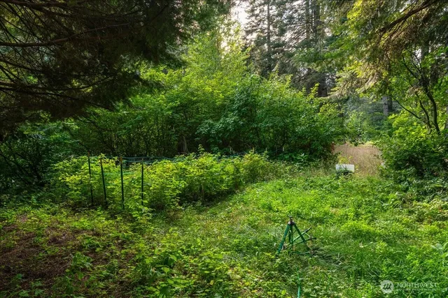 a view of outdoor space and green space