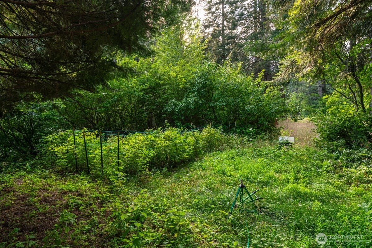 19095 Gill Creek Road Leavenworth, WA 98826 - Photo 30 of 30 a view of outdoor space and green space