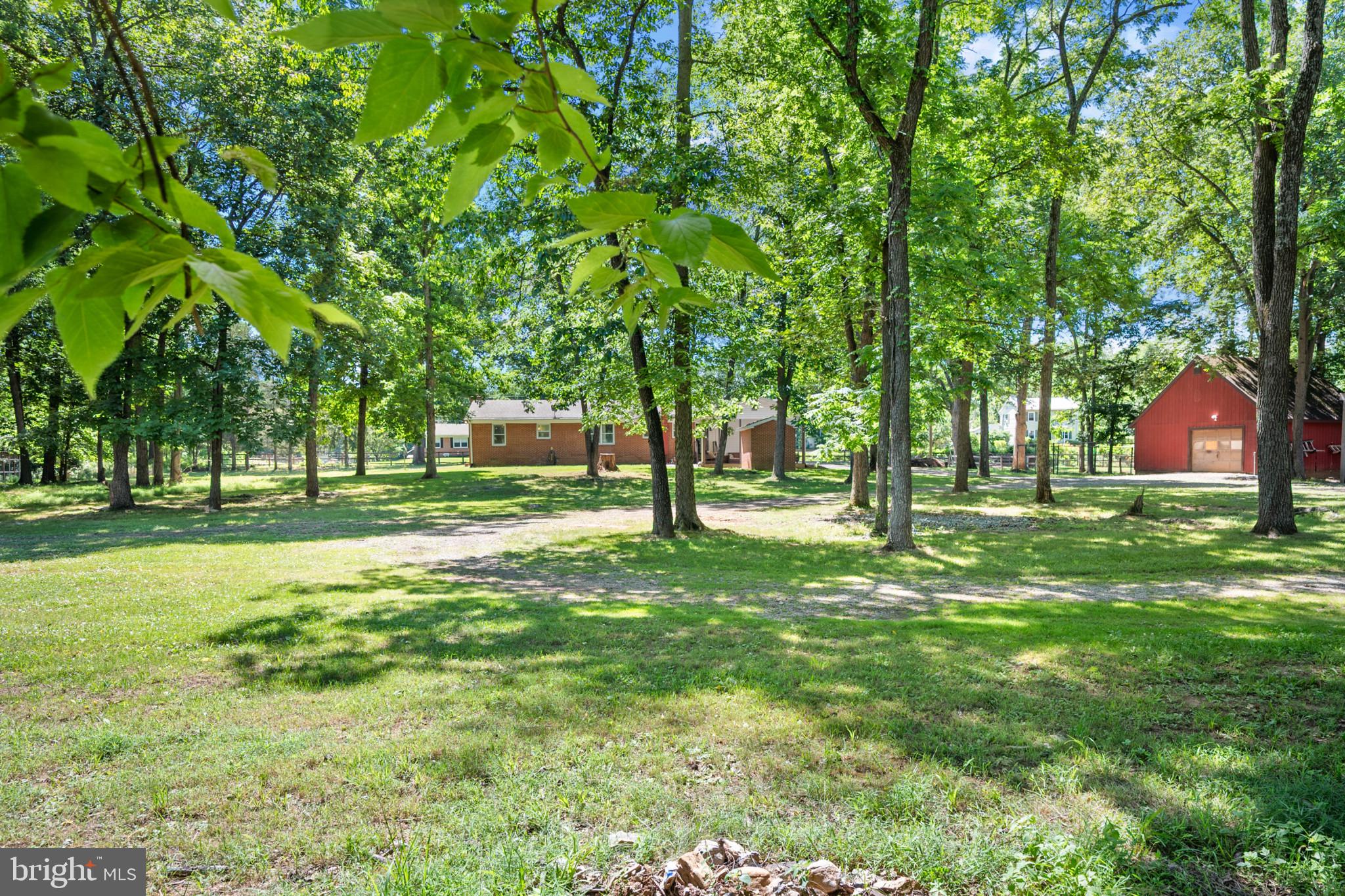 2085 Crums Church Road Berryville, VA 22611 - Photo 50 of 61 Park-like 5 acres!