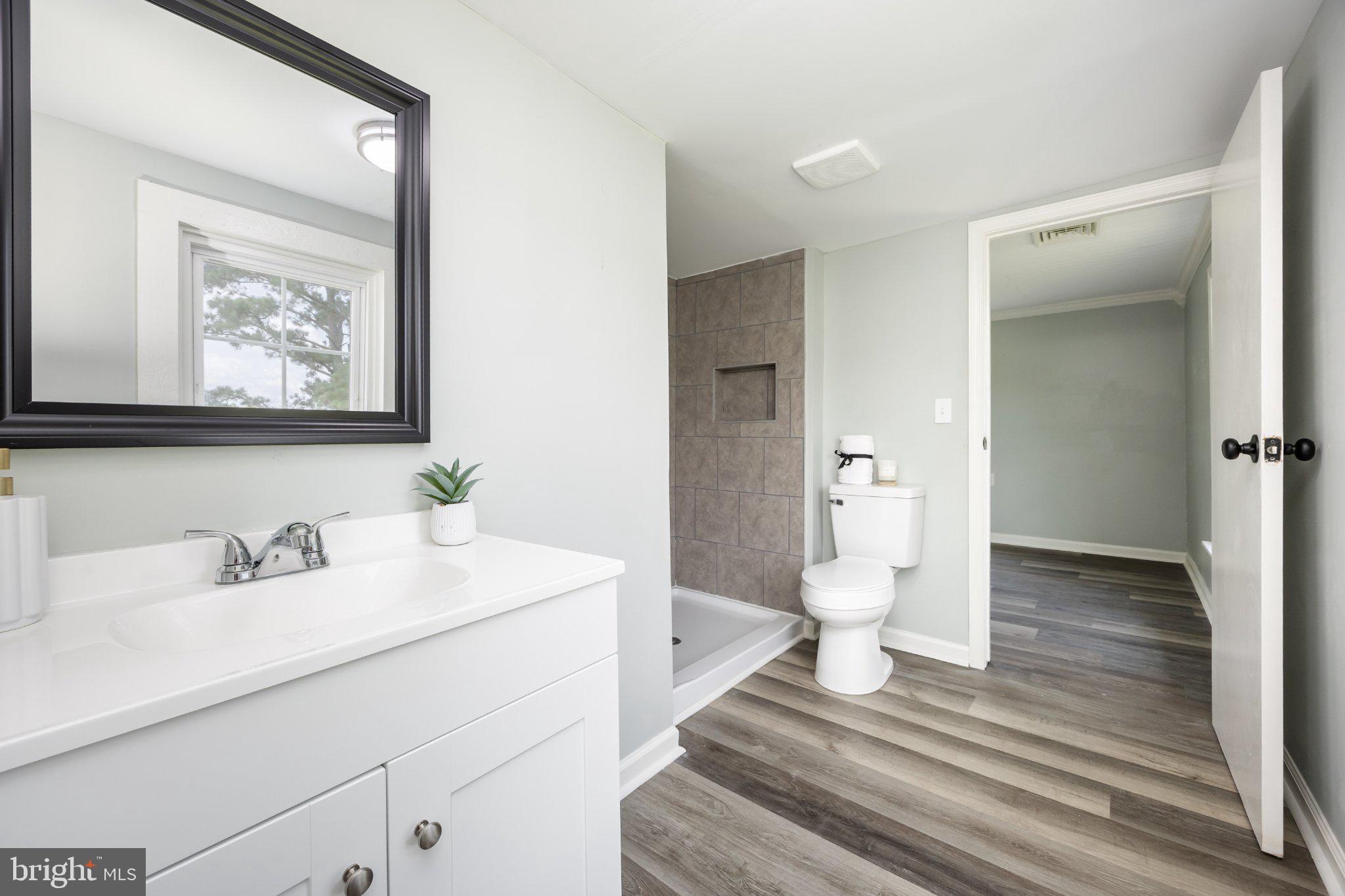 465 Hall Road Pocomoke City, MD 21851 - Photo 31 of 43 Jack and Jill bathroom and shower