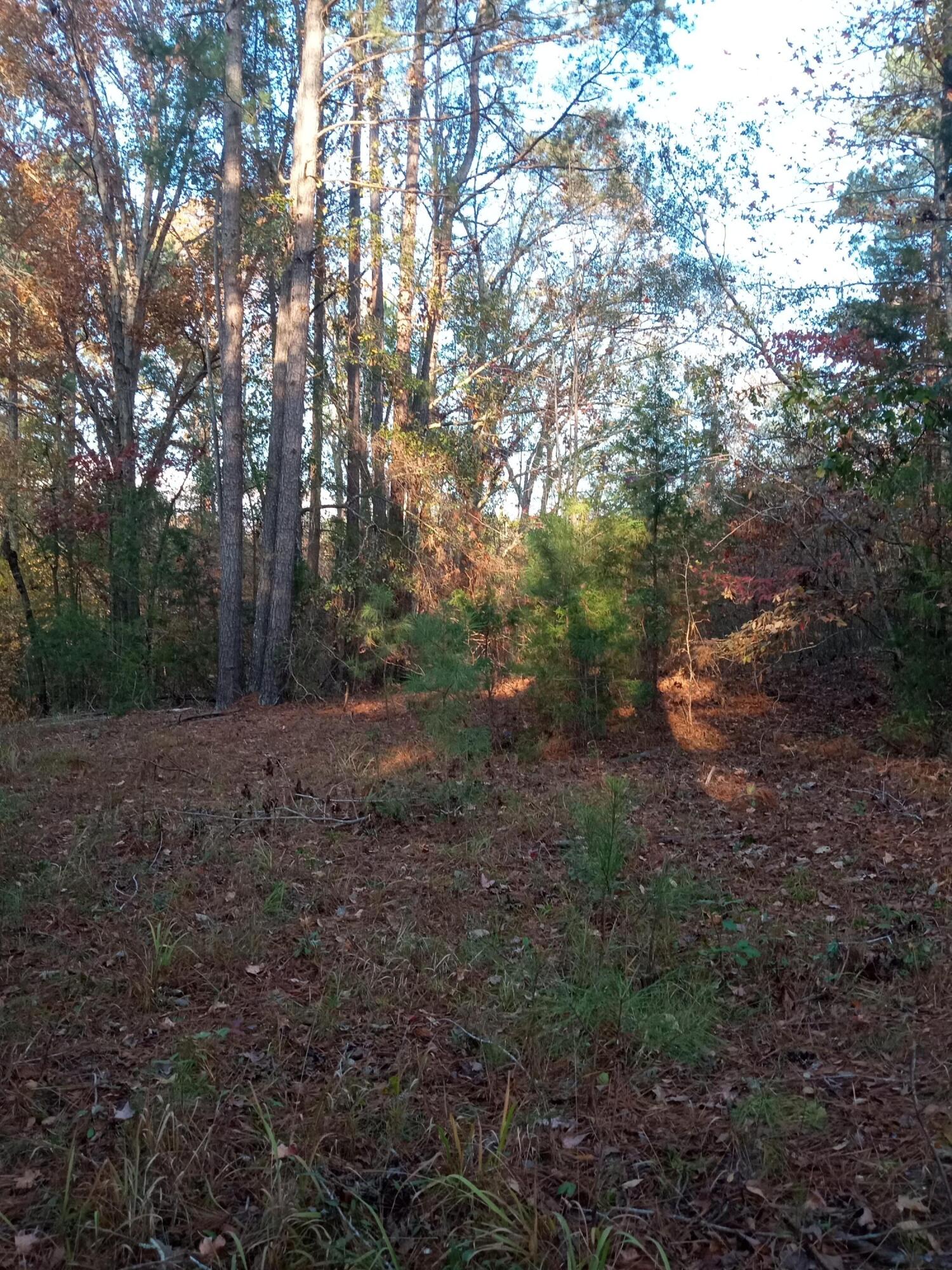 2722 Highway 23 Modoc, SC 29838 - Photo 51 of 57