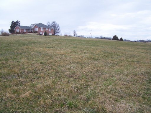 264 Coffey Heights Rutledge, TN 37861 - Photo 3 of 5 Additional Photo