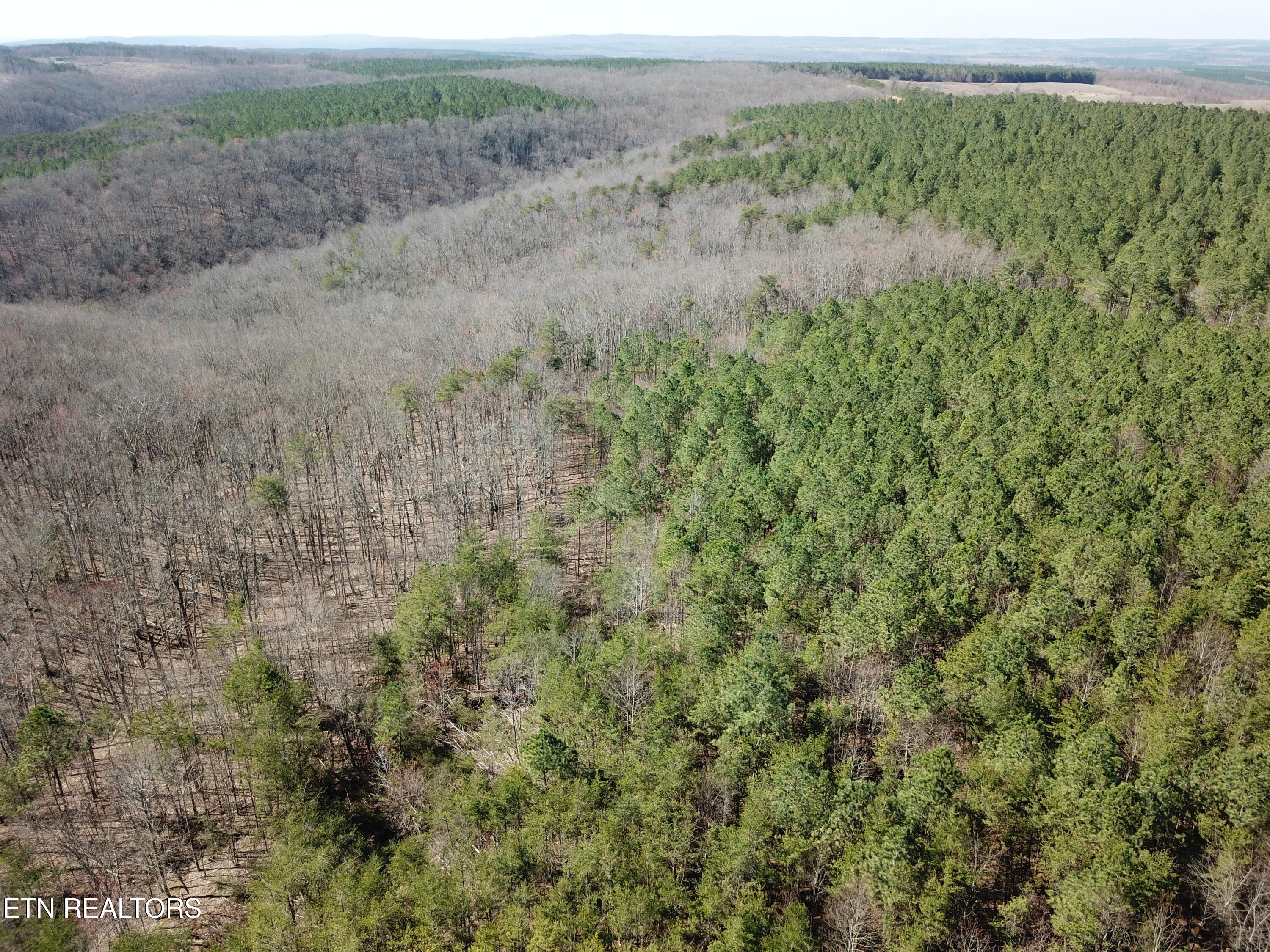 Buckridge Road Crossville, TN 38572 - Photo 3 of 26 DJI_0061