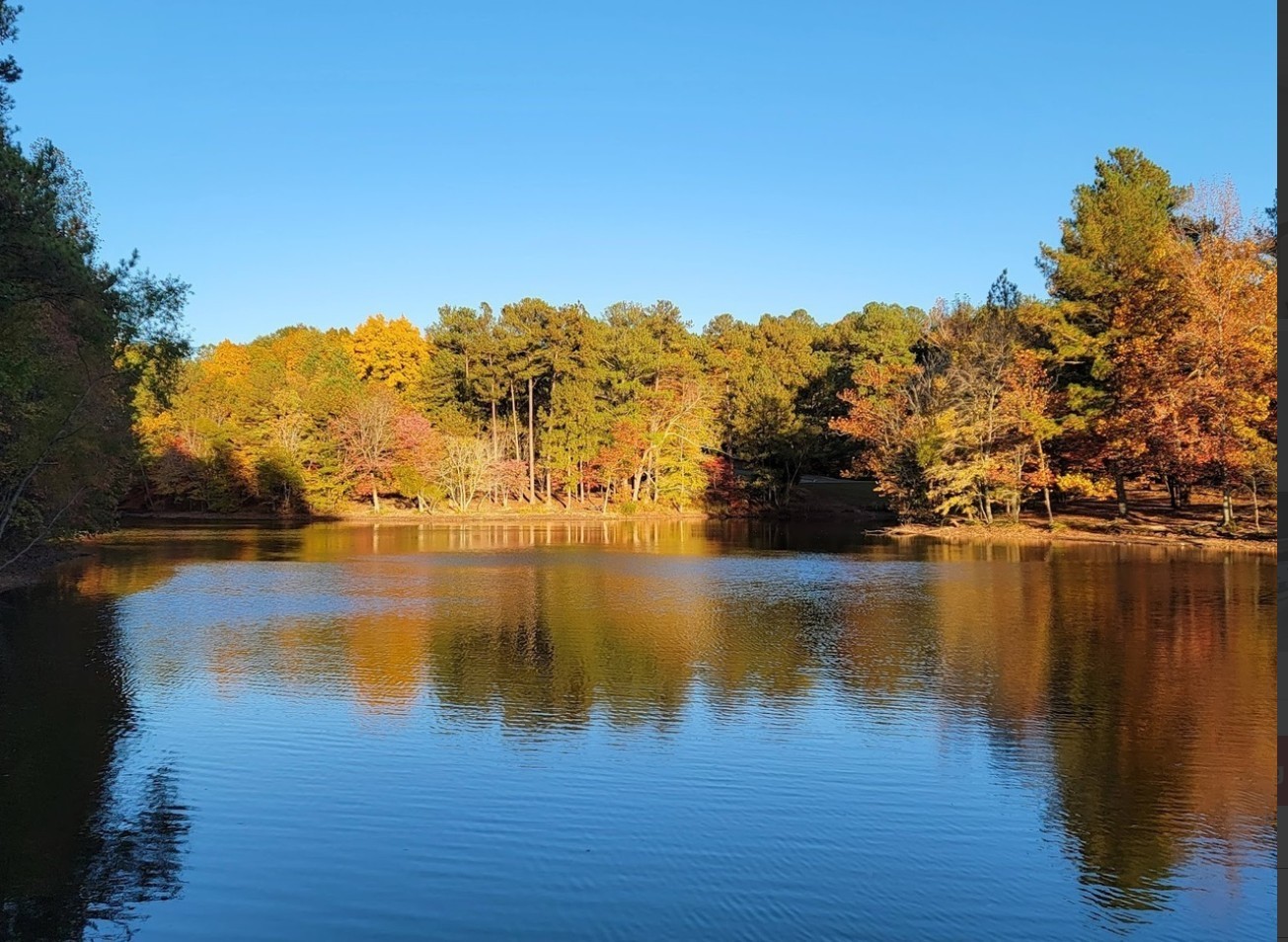 7509 Shoal Mill Point Fairview, TN 37062 - Photo 24 of 29 a view of lake view