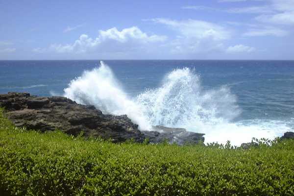 1661 Pe'e Road, Unit 1201 Koloa, HI 96756 - Photo 1 of 2 Gallery Image 1