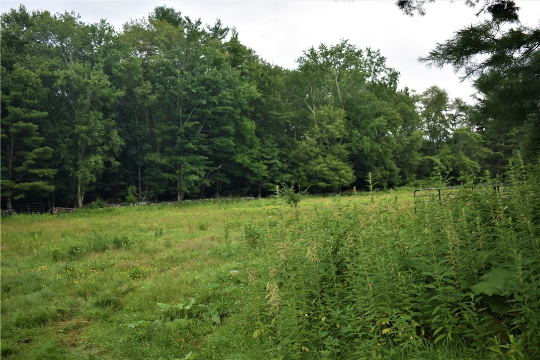 397 Chestnut Hill Road Glocester, RI 02814 - Photo 29 of 33 side field