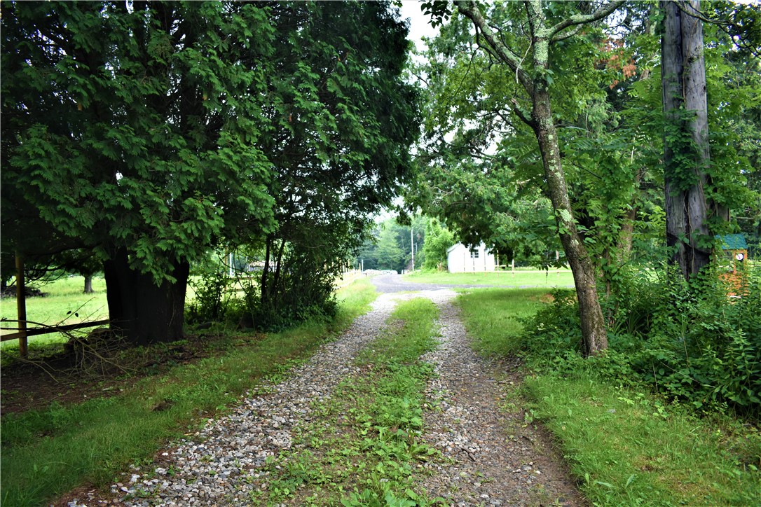 397 Chestnut Hill Road Glocester, RI 02814 - Photo 3 of 33 Driveway looking back toward Street