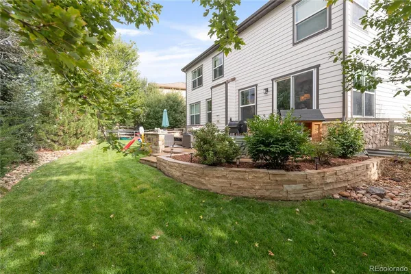 a view of a backyard with plants and a large tree