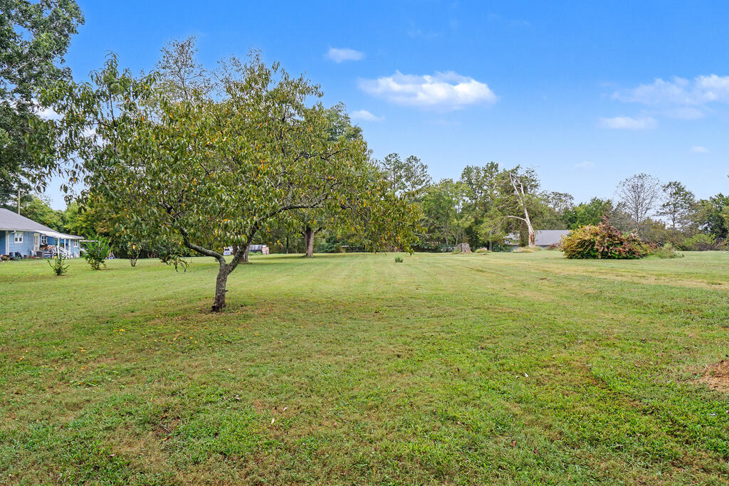0 Carl Wood Road Rocky Face, GA 30740 - Photo 11 of 58 Gallery Image 11