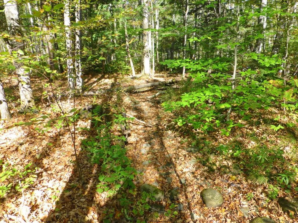 Tbd Weeks Mills Road Farmington, ME 04938 - Photo 9 of 20 Photo