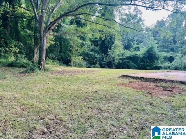 5980 Coleman Lake Road McCalla, AL 35111 - Photo 5 of 8