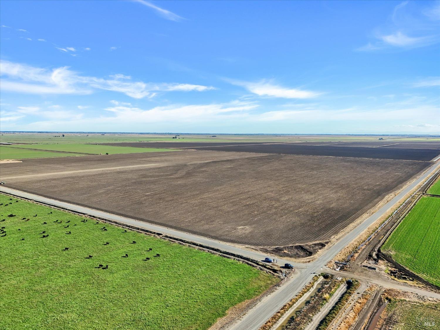 7788 Trefoil Road Dixon, CA 95620 - Photo 8 of 11 a view of a field with an ocean view