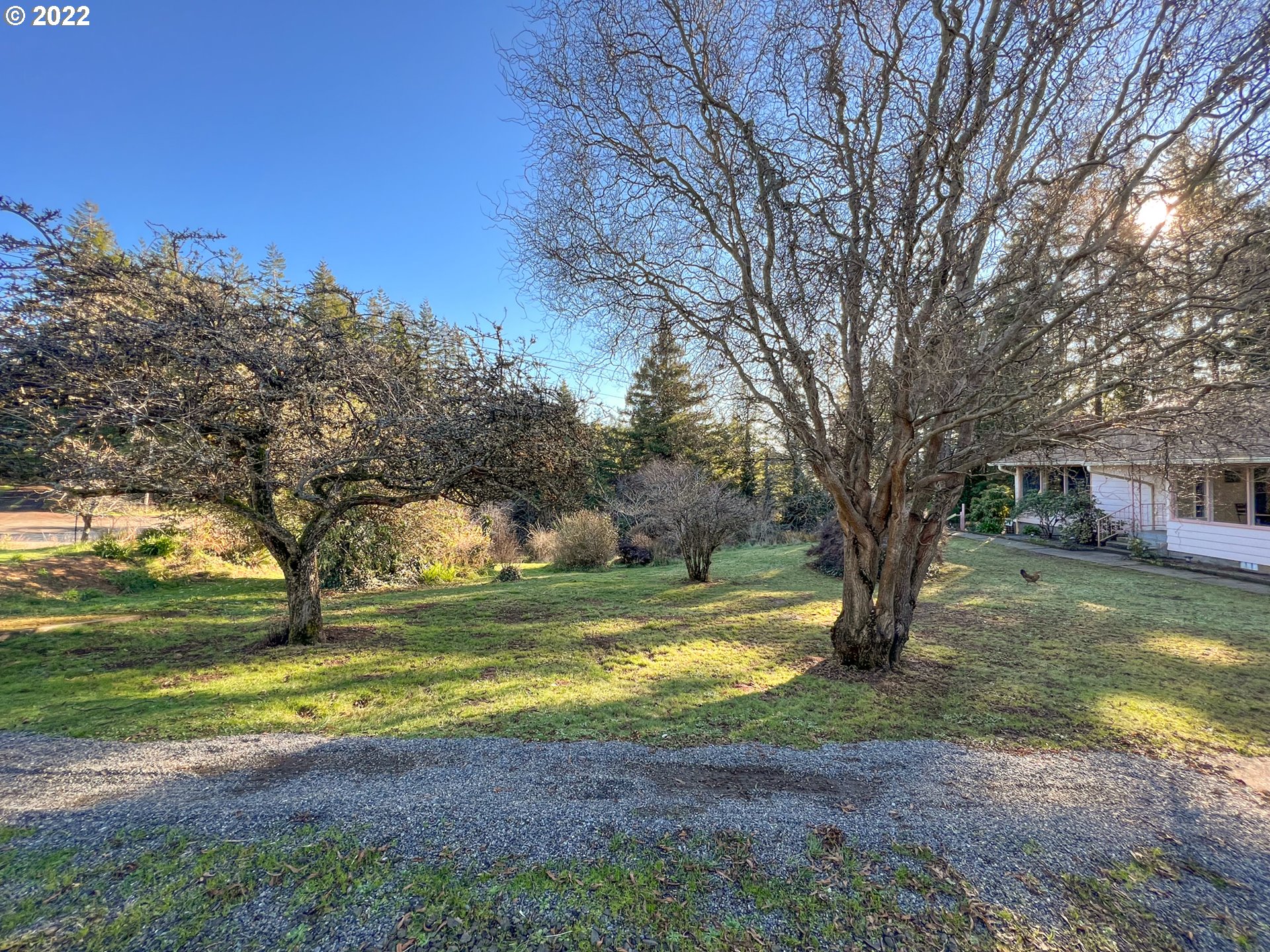 55902 Finley Loop Coquille, OR 97423 - Photo 2 of 32 Gallery Image 2