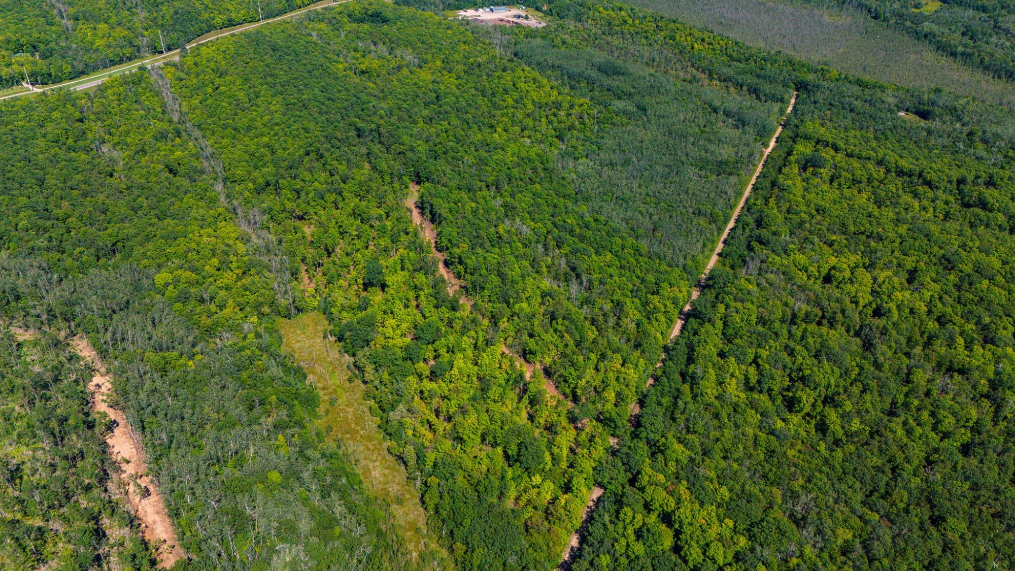 40-acres Ison Road Crandon, WI 54520 - Photo 11 of 31 Gallery Image 11
