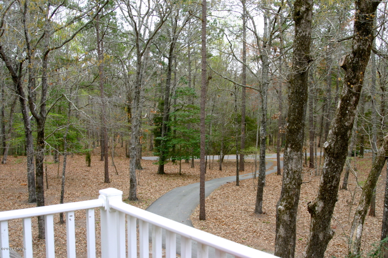 362 Elizabeth Road Arapahoe, NC 28510 - Photo 17 of 27 SPACE TO DREAM AND RUN AND PLAY
