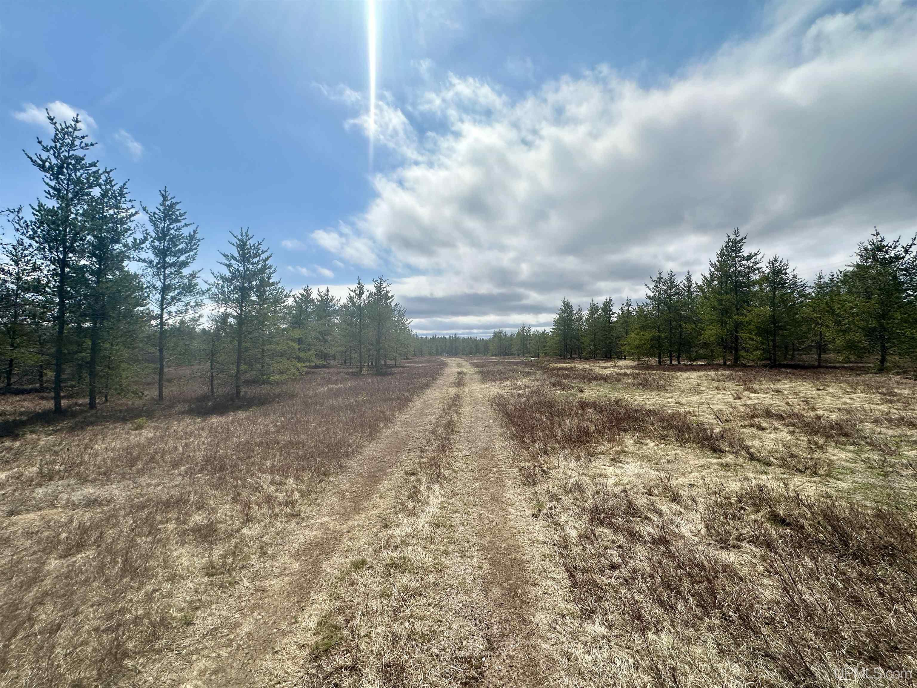 Tbd East Airfield Road Gwinn, MI 49841 - Photo 6 of 18