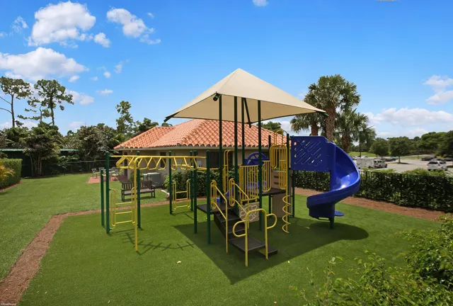 a row of palm trees and ocean view