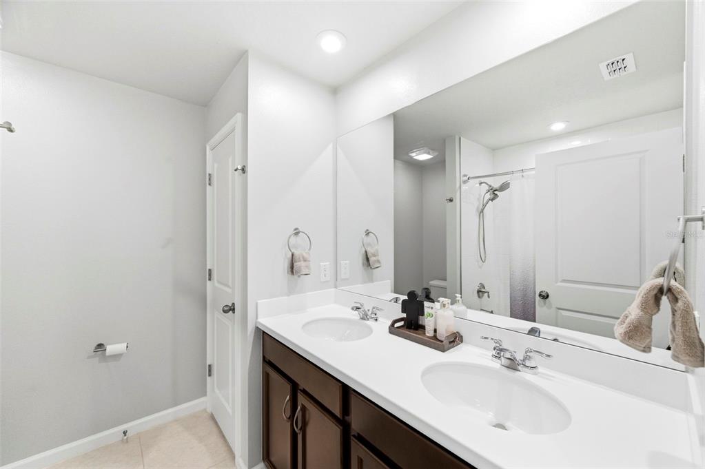 4327 Cloud Hopper Way Lutz, FL 33559 - Photo 41 of 75 a bathroom with a sink and a mirror