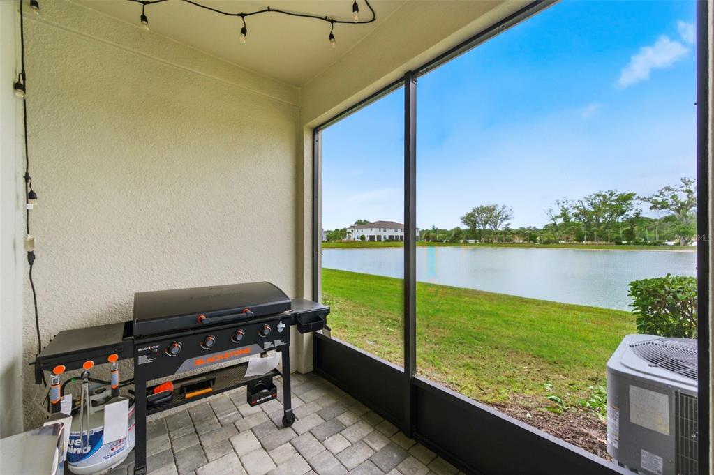 4327 Cloud Hopper Way Lutz, FL 33559 - Photo 47 of 75