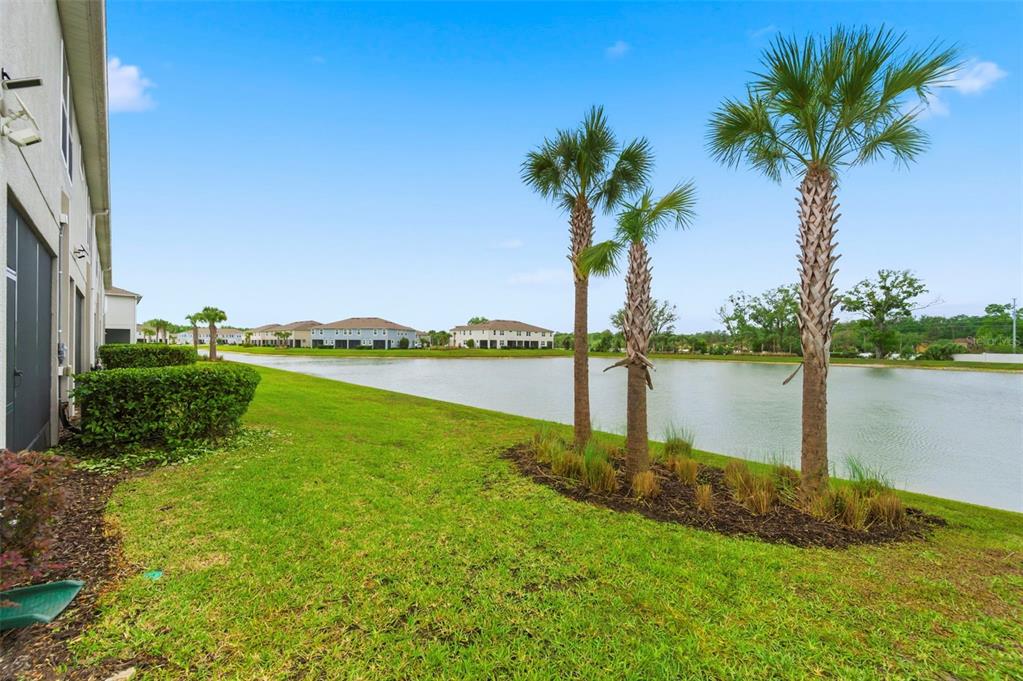 4327 Cloud Hopper Way Lutz, FL 33559 - Photo 49 of 75 a view of a lake with a big yard