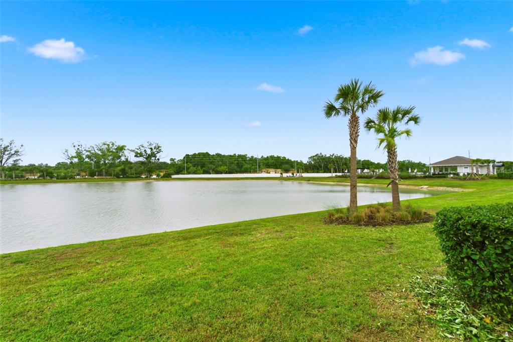 4327 Cloud Hopper Way Lutz, FL 33559 - Photo 50 of 75 a view of a lake with houses in the back