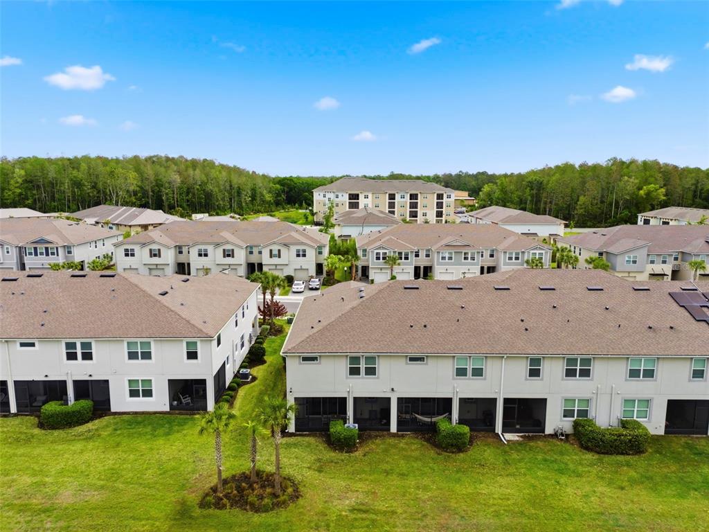 4327 Cloud Hopper Way Lutz, FL 33559 - Photo 71 of 75 a view of a big yard with large tree