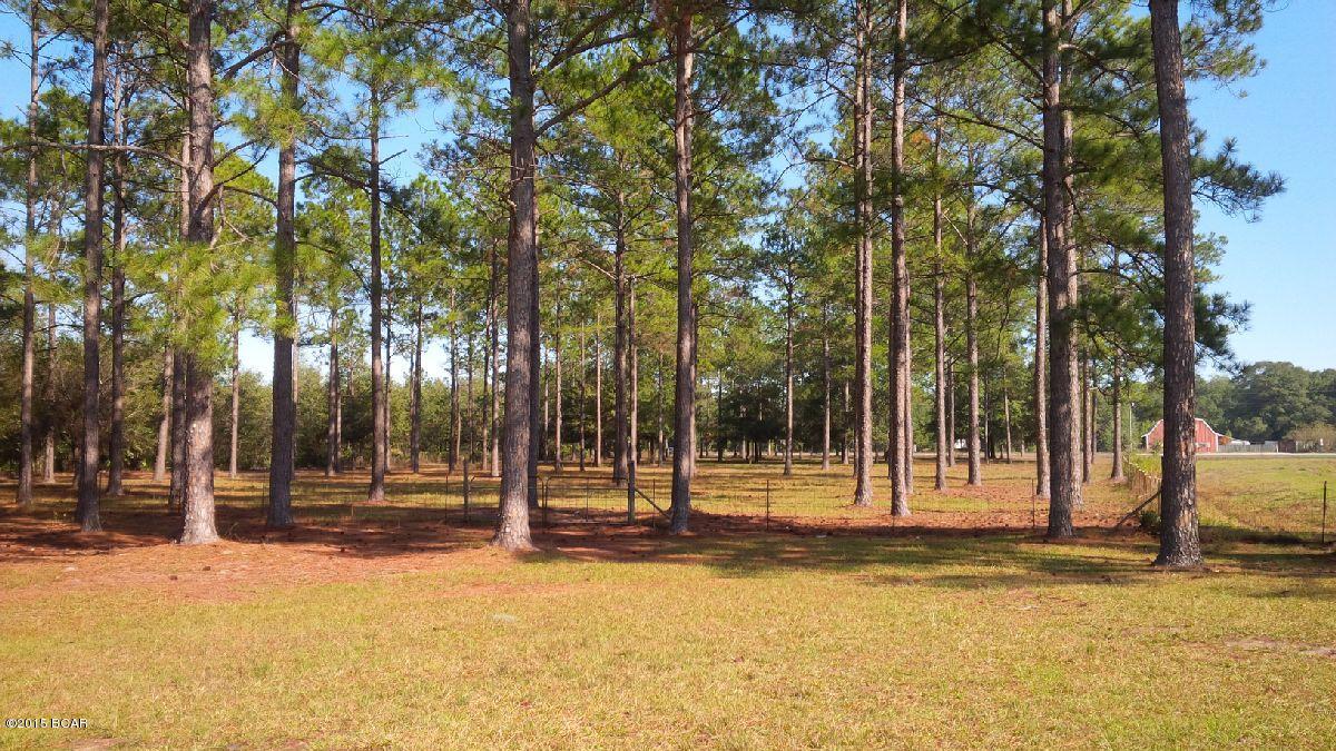 18905 Mawig Road Fountain, FL 32438 - Photo 19 of 22 Gallery Image 19
