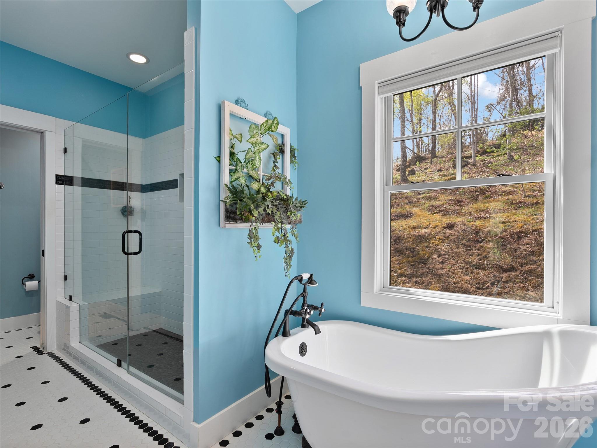 711 Winfield Drive Clyde, NC 28721 - Photo 29 of 44
