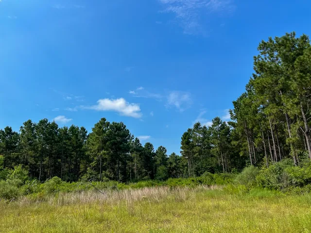 $155,870 | 3 County Road 1325, Warren, TX 77664