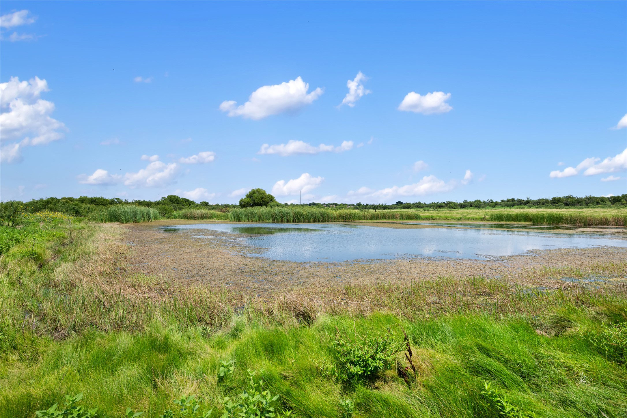 1775 County Road 305 Jarrell, TX 76537 - Photo 7 of 11 Water view