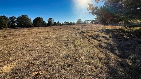 a view of dirt field with trees in the background